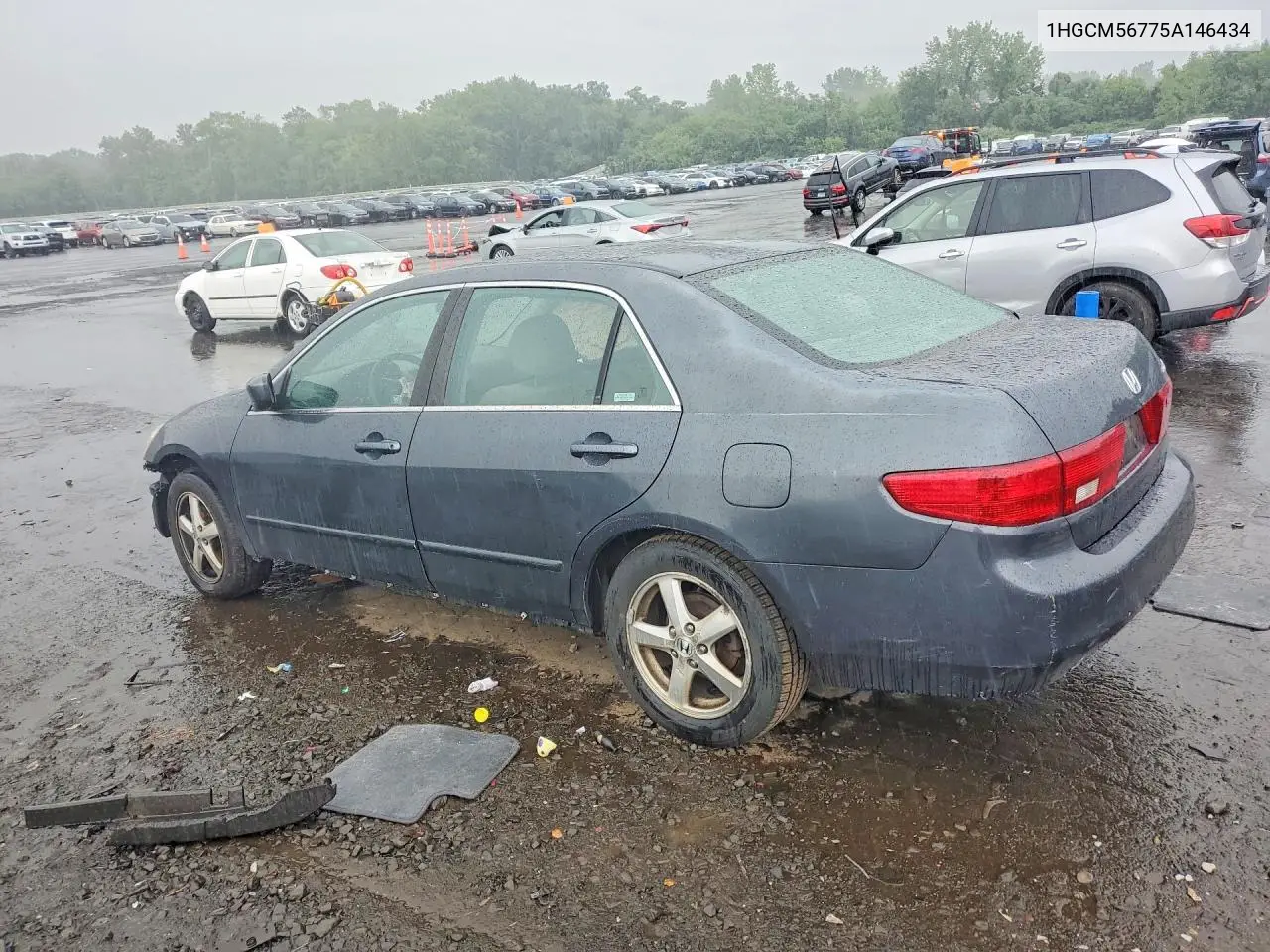2005 Honda Accord Ex VIN: 1HGCM56775A146434 Lot: 61842736