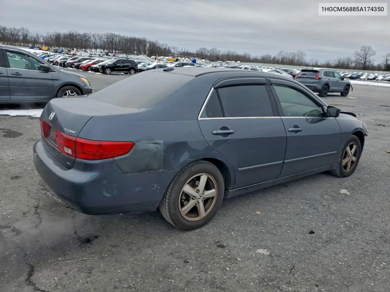 1HGCM56885A174350 2005 Honda Accord Ex