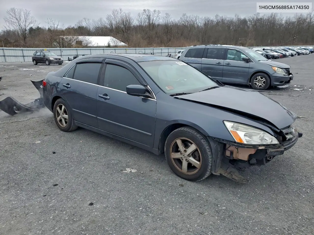 1HGCM56885A174350 2005 Honda Accord Ex