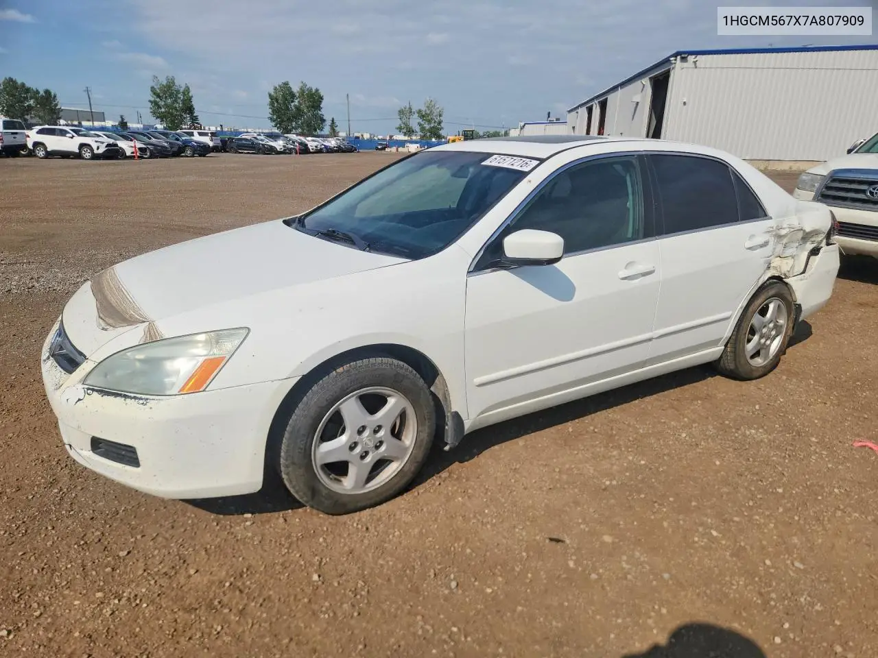 2007 Honda Accord Ex VIN: 1HGCM567X7A807909 Lot: 61571216