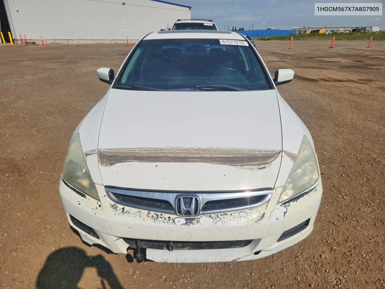 2007 Honda Accord Ex VIN: 1HGCM567X7A807909 Lot: 61571216