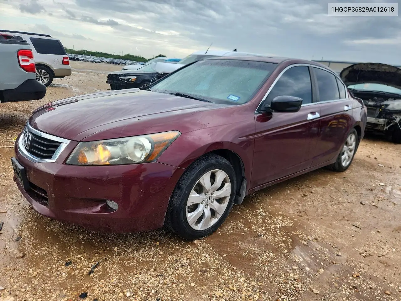 2009 Honda Accord Exl