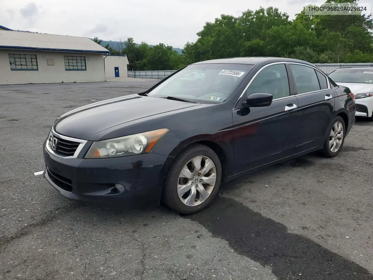 2009 Honda Accord Exl VIN: 1HGCP36829A029824 Lot: 61722586