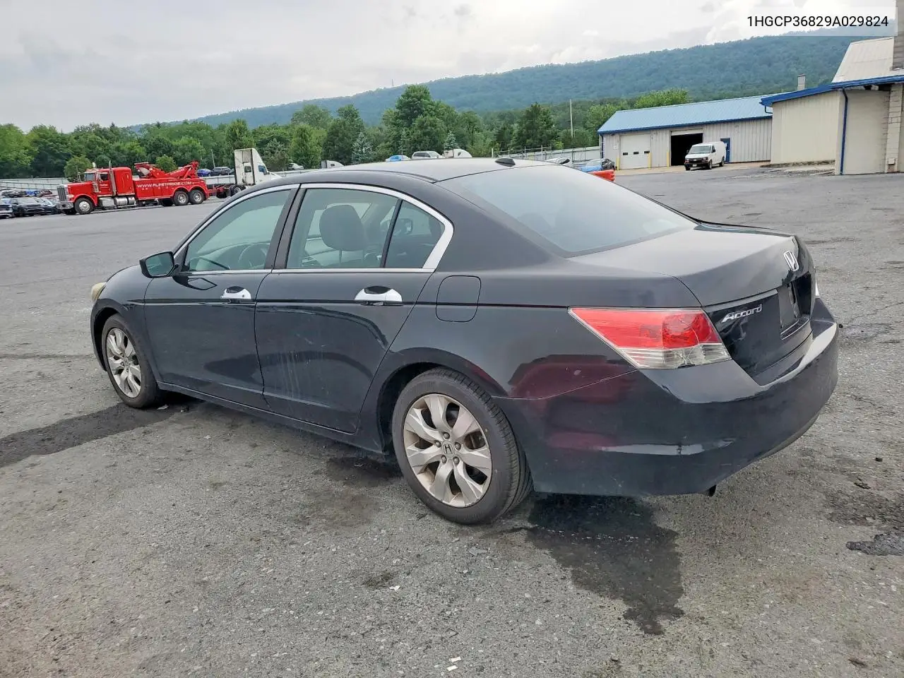 2009 Honda Accord Exl VIN: 1HGCP36829A029824 Lot: 61722586