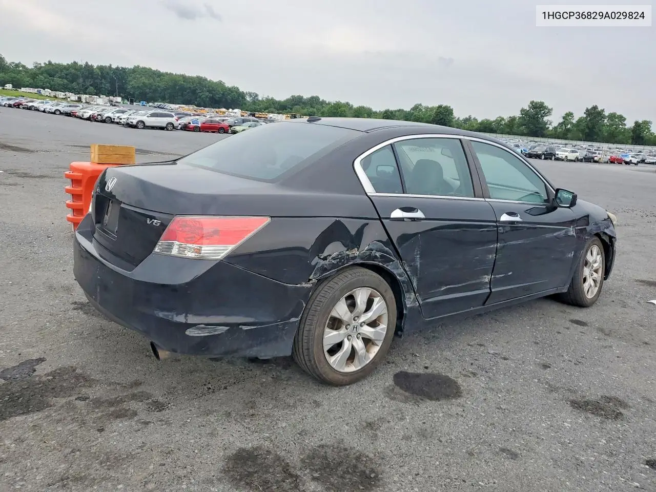 2009 Honda Accord Exl VIN: 1HGCP36829A029824 Lot: 61722586