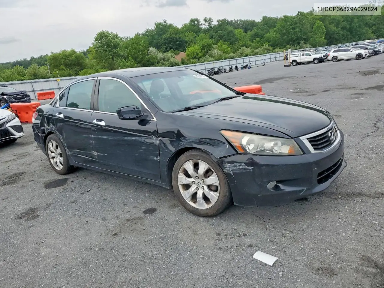 2009 Honda Accord Exl VIN: 1HGCP36829A029824 Lot: 61722586