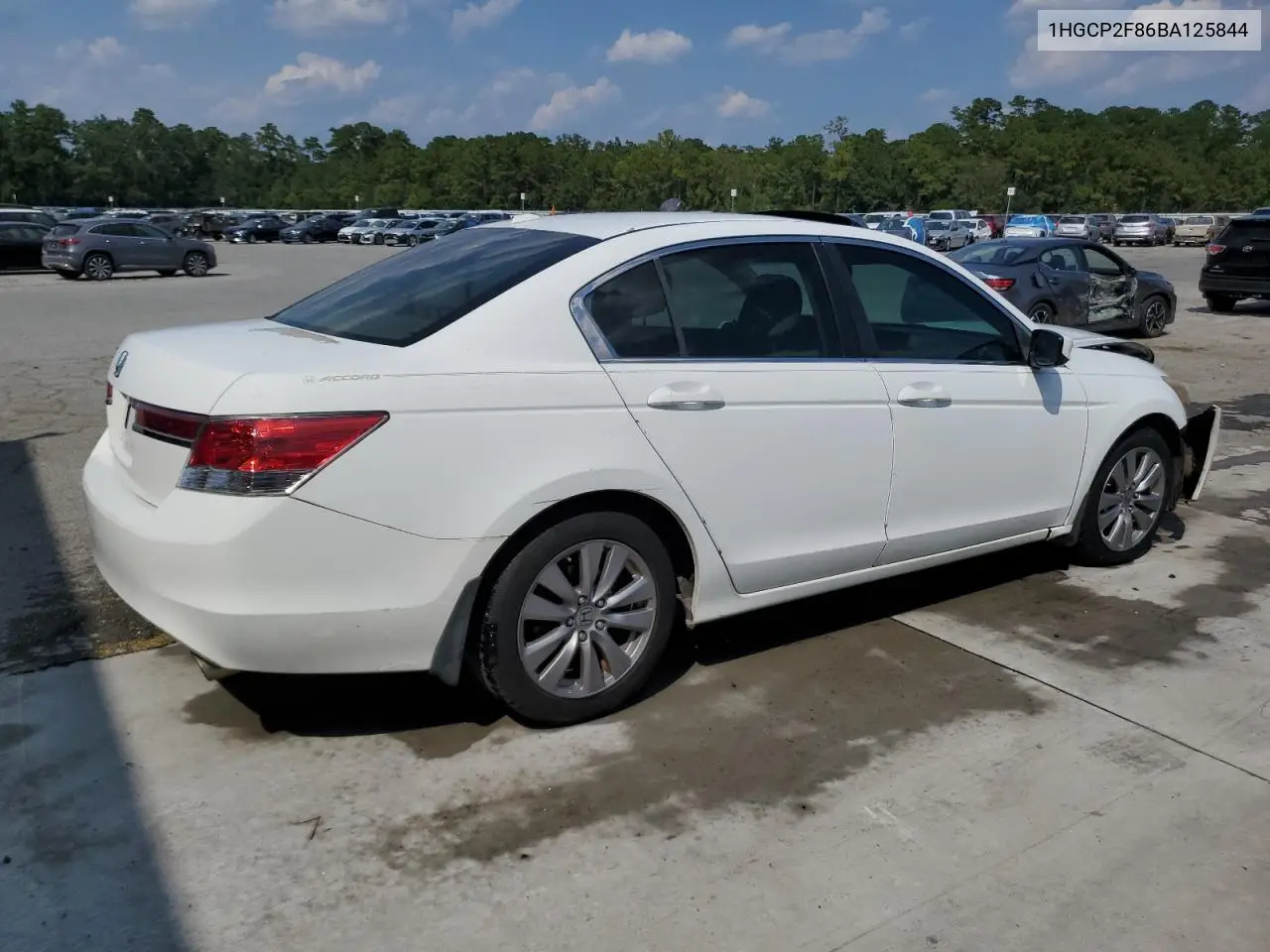 1HGCP2F86BA125844 2011 Honda Accord Exl