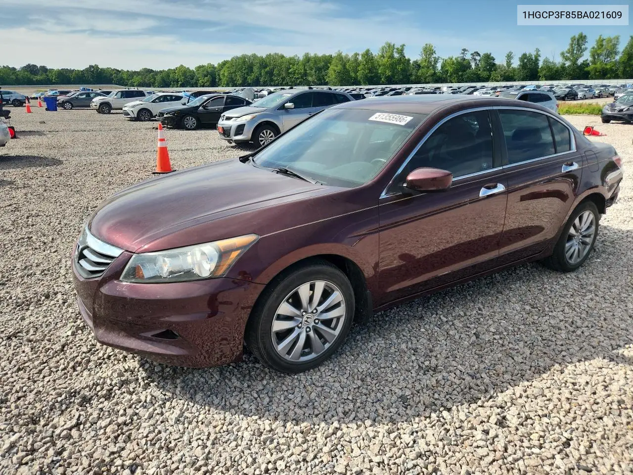 1HGCP3F85BA021609 2011 Honda Accord Exl