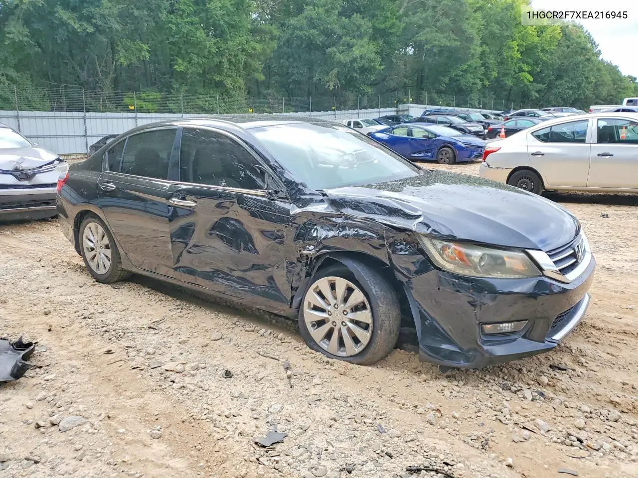 2014 Honda Accord Ex VIN: 1HGCR2F7XEA216945 Lot: 61929996