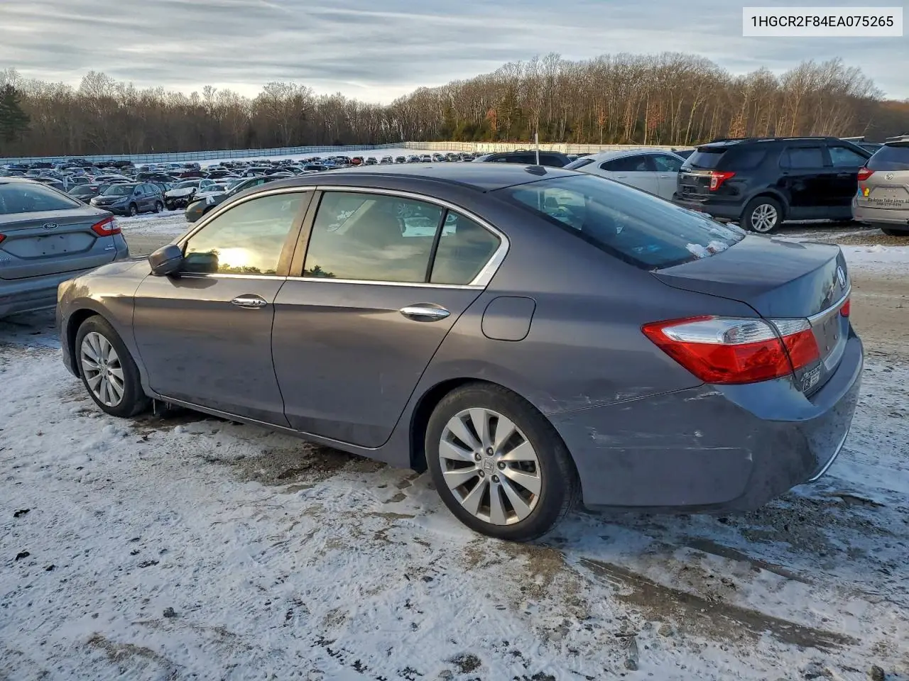 1HGCR2F84EA075265 2014 Honda Accord Exl