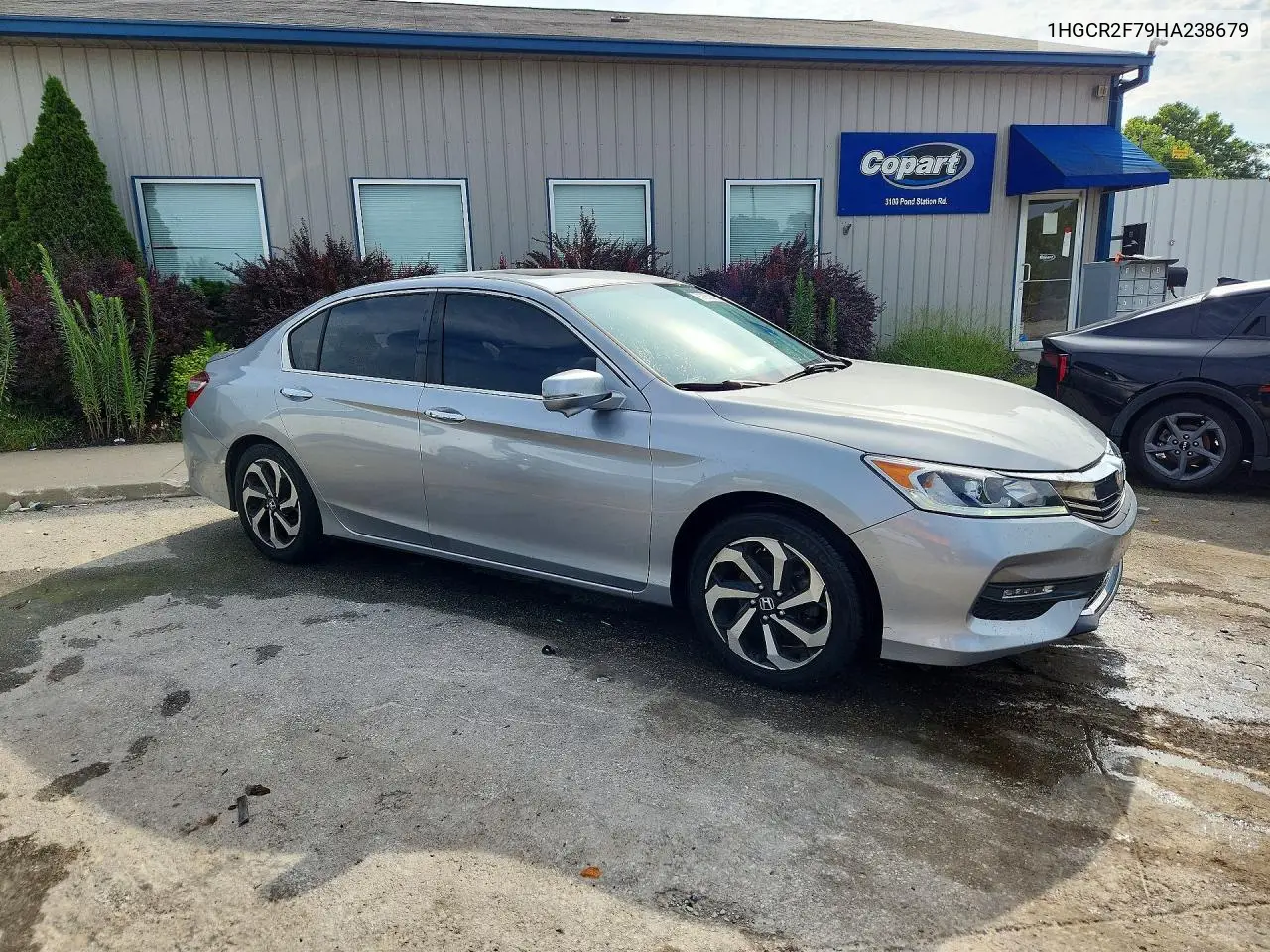 2017 Honda Accord Ex VIN: 1HGCR2F79HA238679 Lot: 61898996