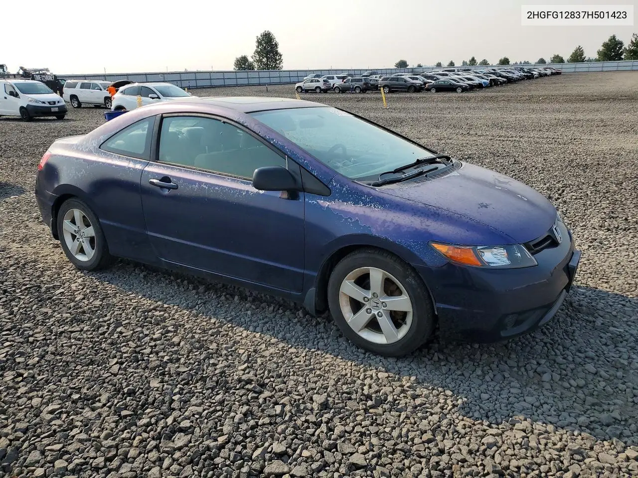 2007 Honda Civic Ex VIN: 2HGFG12837H501423 Lot: 61817586