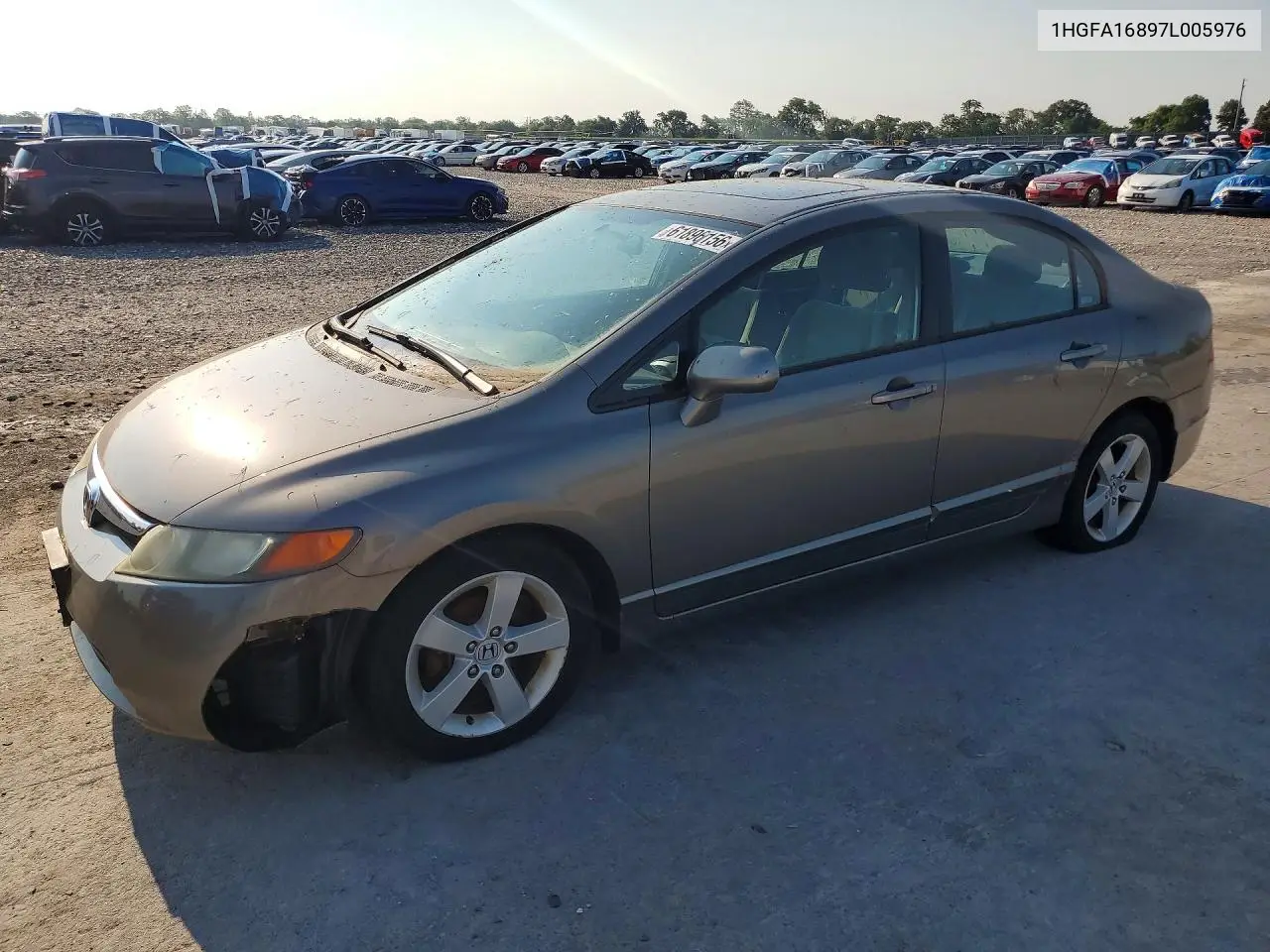 2007 Honda Civic Ex VIN: 1HGFA16897L005976 Lot: 61896156