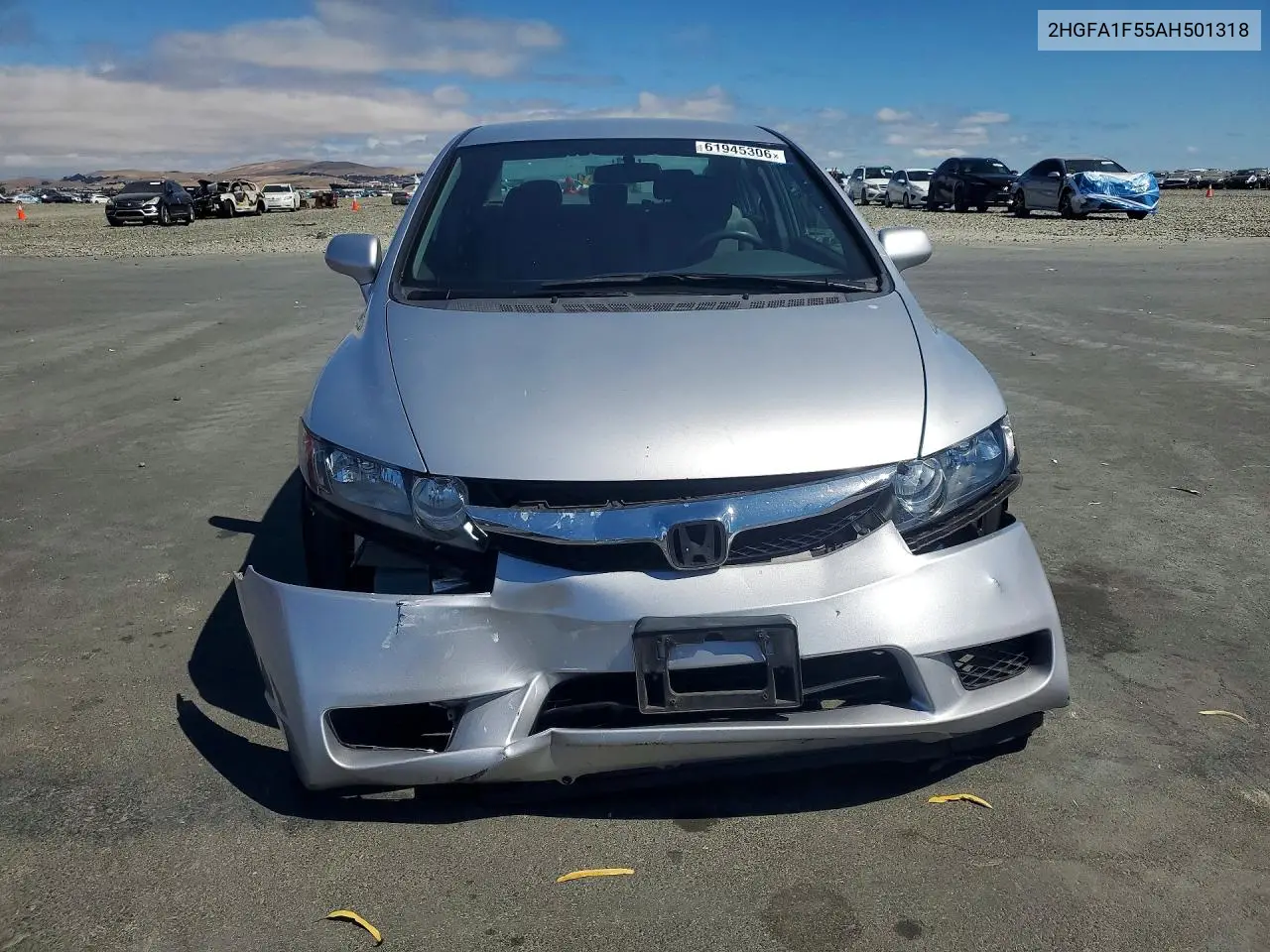 2010 Honda Civic Lx VIN: 2HGFA1F55AH501318 Lot: 61945306