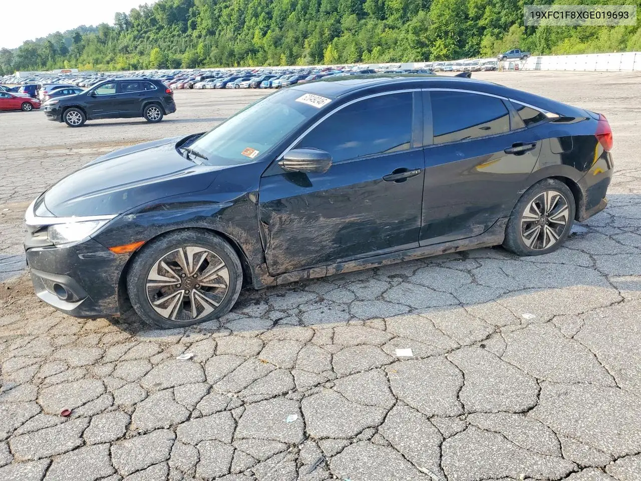 2016 Honda Civic Ex VIN: 19XFC1F8XGE019693 Lot: 62049246
