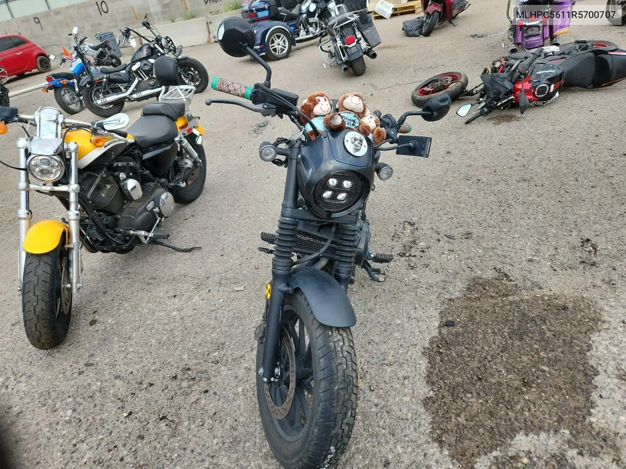 2024 Honda Cmx500 VIN: MLHPC5611R5700707 Lot: 42005946