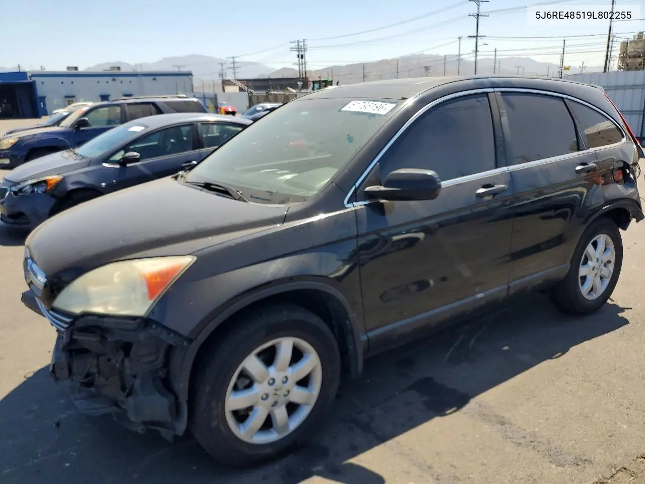 2009 Honda Cr-V Ex VIN: 5J6RE48519L802255 Lot: 61793196