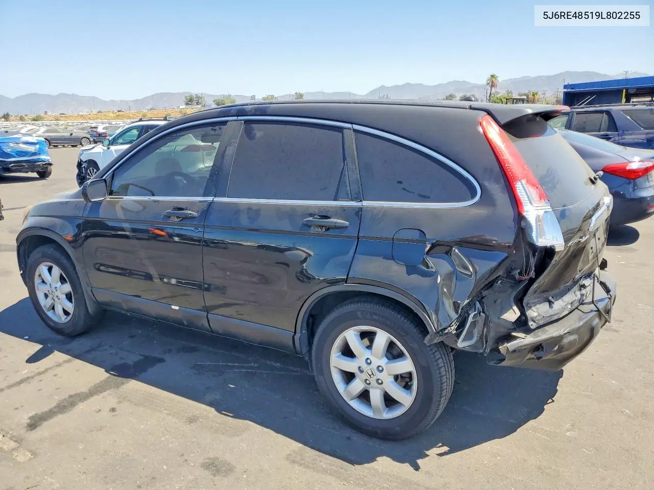 2009 Honda Cr-V Ex VIN: 5J6RE48519L802255 Lot: 61793196