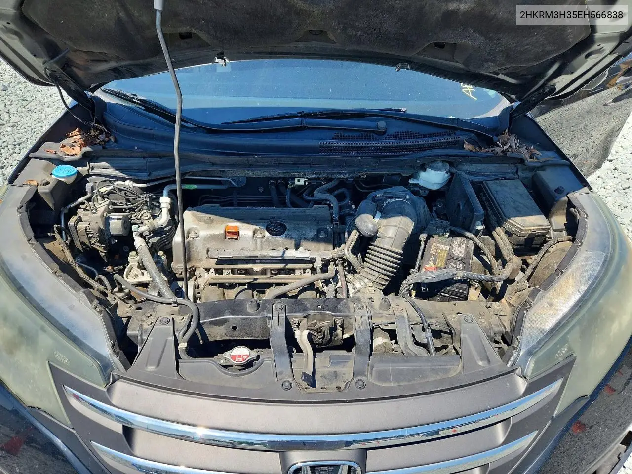 2014 Honda Cr-V Lx VIN: 2HKRM3H35EH566838 Lot: 61214696