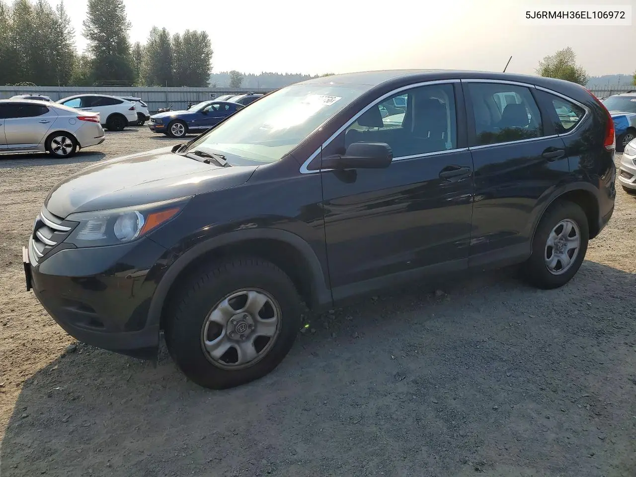 2014 Honda Cr-V VIN: 5J6RM4H36EL106972 Lot: 62097756