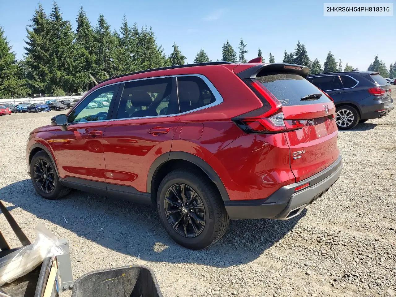 2023 Honda Cr-V Sport VIN: 2HKRS6H54PH818316 Lot: 62059996