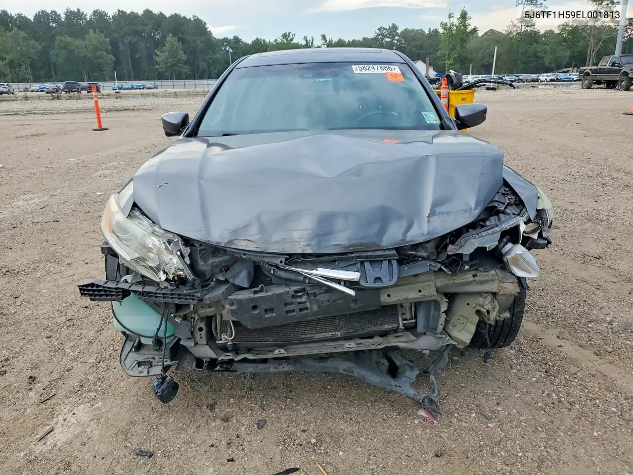 2014 Honda Crosstour Exl VIN: 5J6TF1H59EL001813 Lot: 58247886
