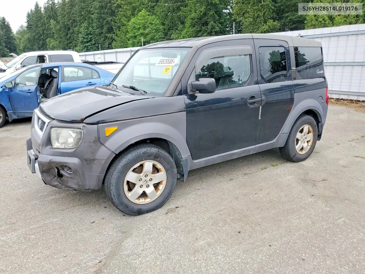 2004 Honda Element Ex VIN: 5J6YH28514L019176 Lot: 59529586