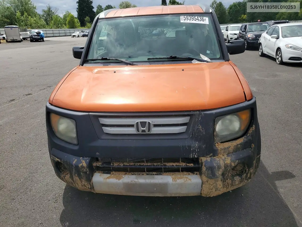 2008 Honda Element Lx VIN: 5J6YH18358L010253 Lot: 59395436