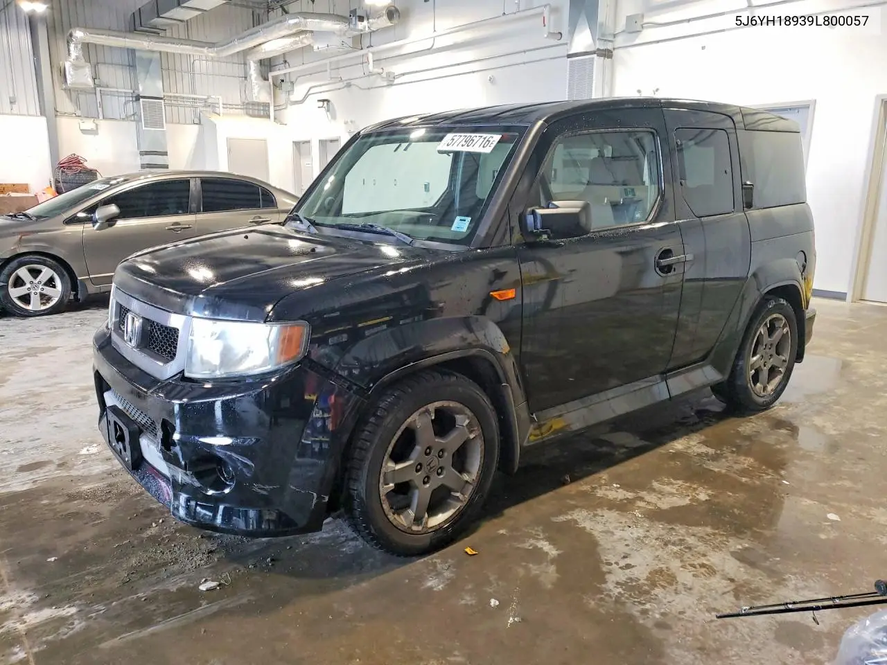 2009 Honda Element Sc VIN: 5J6YH18939L800057 Lot: 57796716