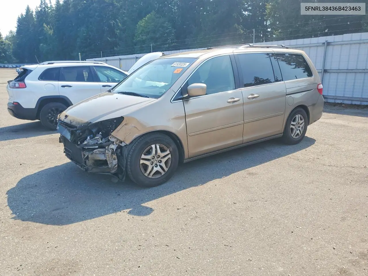 2006 Honda Odyssey Ex VIN: 5FNRL38436B423463 Lot: 61930326