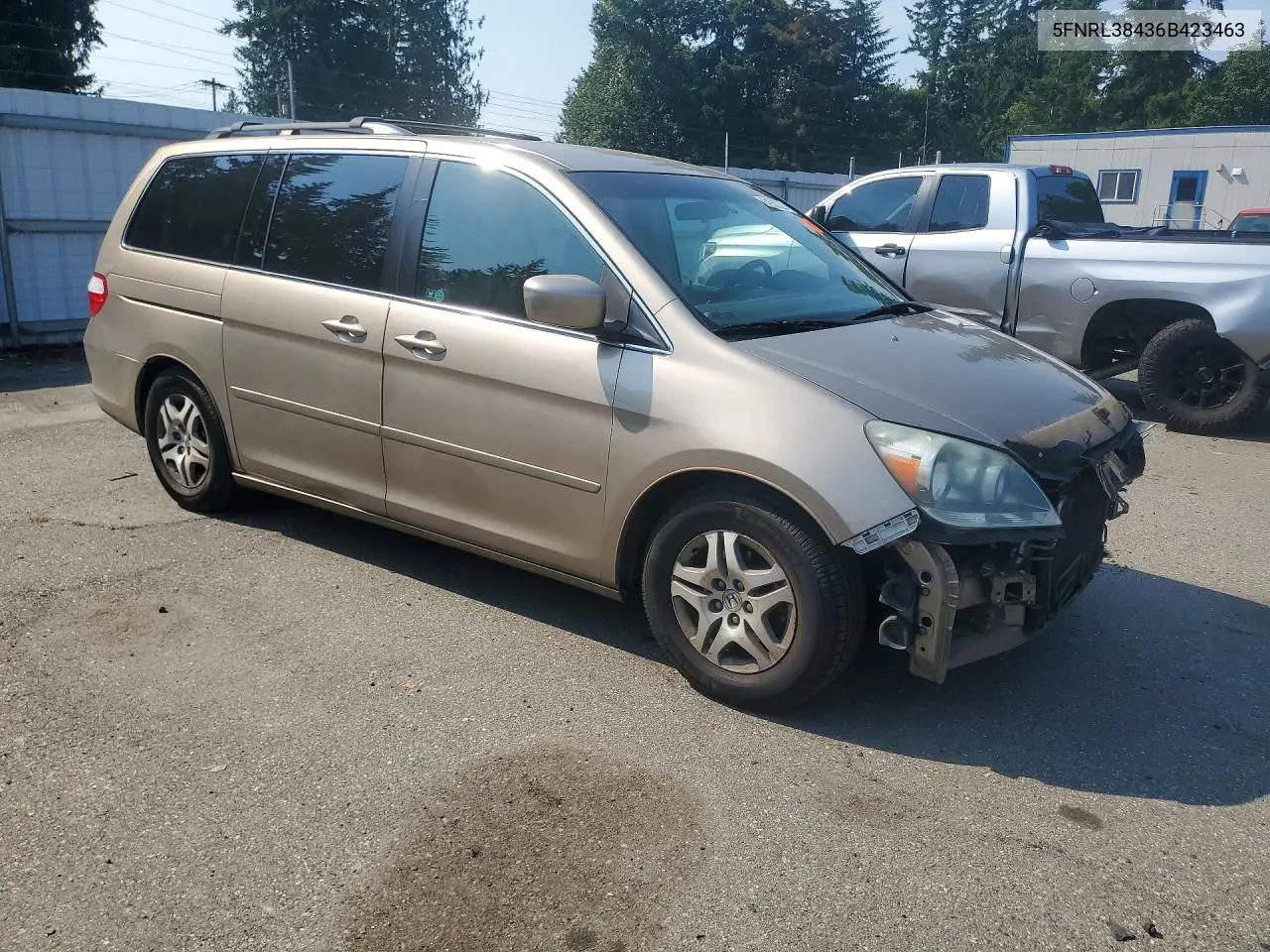 2006 Honda Odyssey Ex VIN: 5FNRL38436B423463 Lot: 61930326
