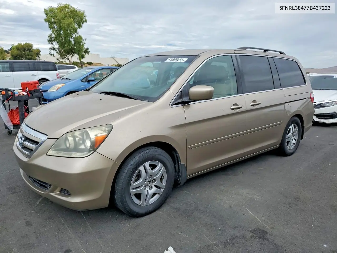 2007 Honda Odyssey Ex VIN: 5FNRL38477B437223 Lot: 61565456