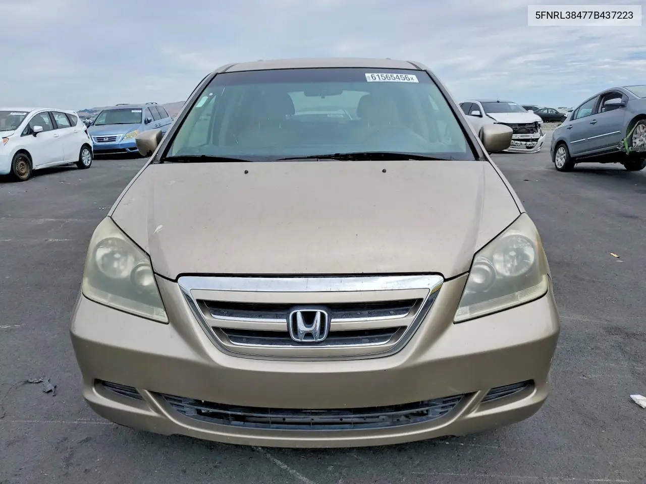 2007 Honda Odyssey Ex VIN: 5FNRL38477B437223 Lot: 61565456