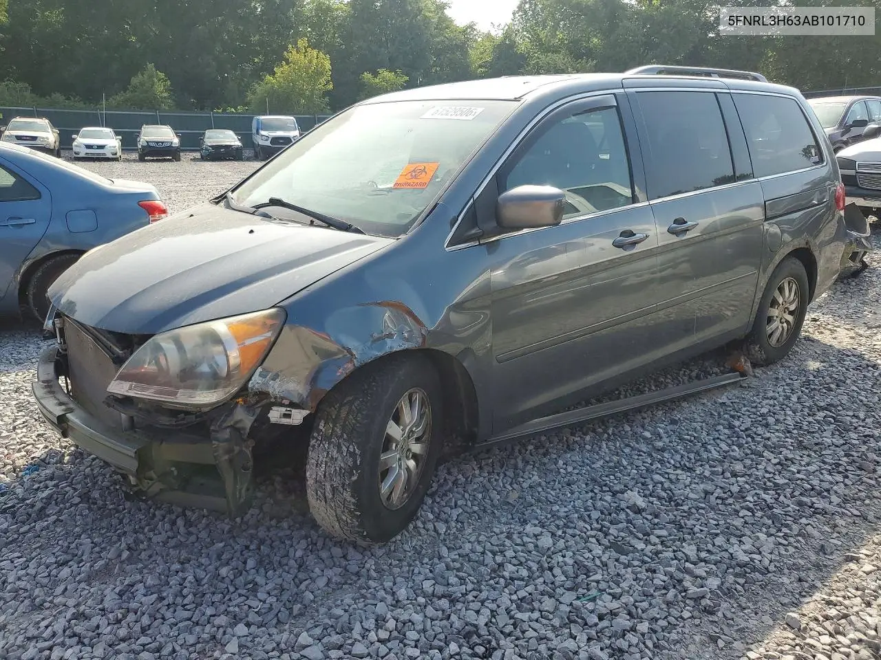2010 Honda Odyssey Exl VIN: 5FNRL3H63AB101710 Lot: 61529506