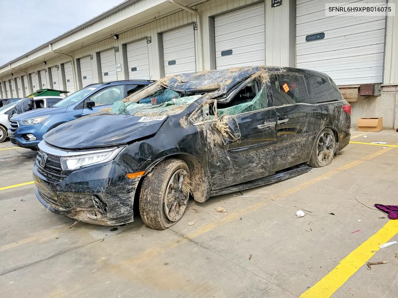 2023 Honda Odyssey Elite VIN: 5FNRL6H9XPB016075 Lot: 60360386