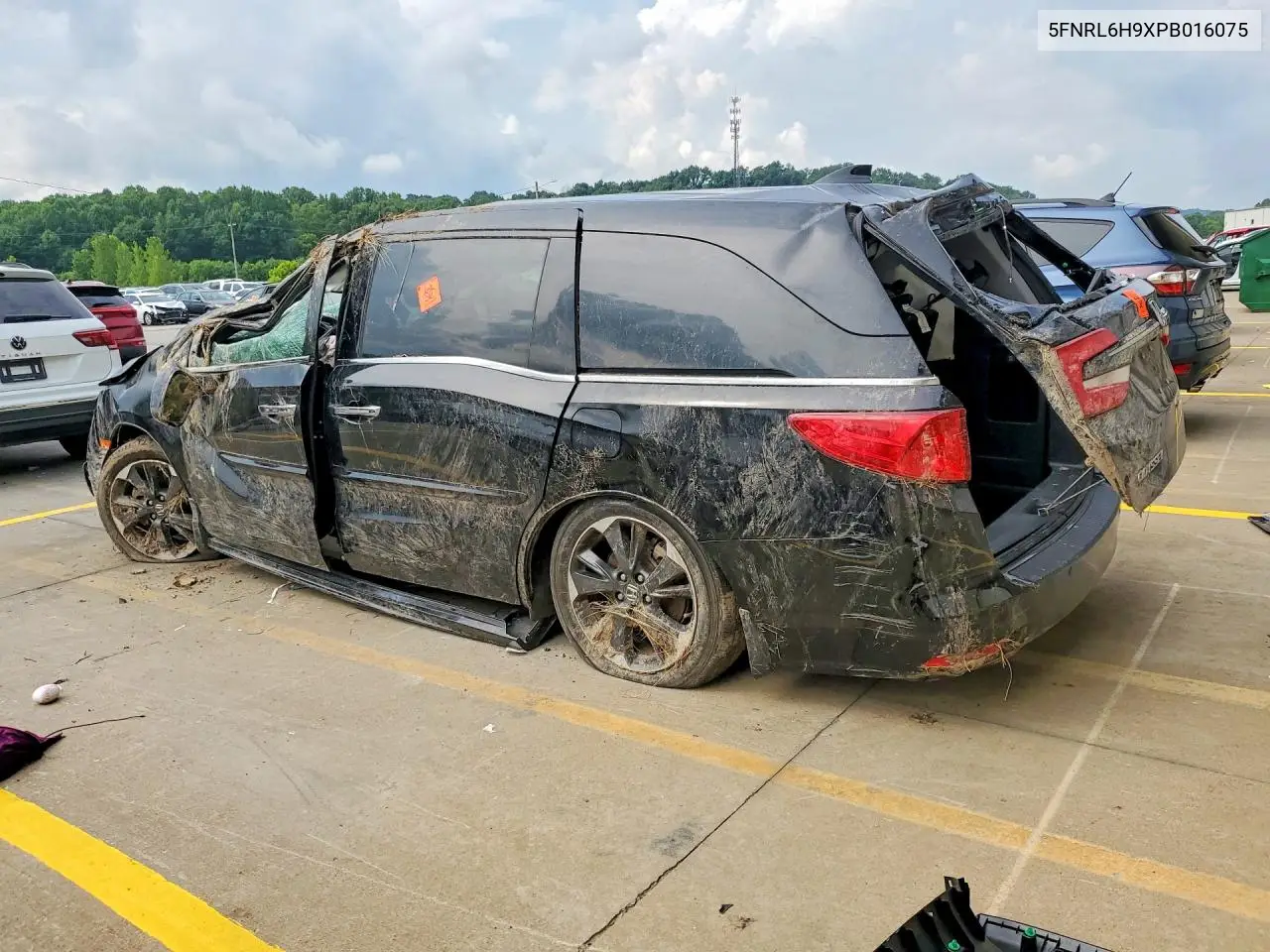 2023 Honda Odyssey Elite VIN: 5FNRL6H9XPB016075 Lot: 60360386