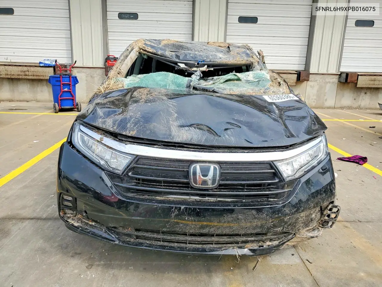 2023 Honda Odyssey Elite VIN: 5FNRL6H9XPB016075 Lot: 60360386