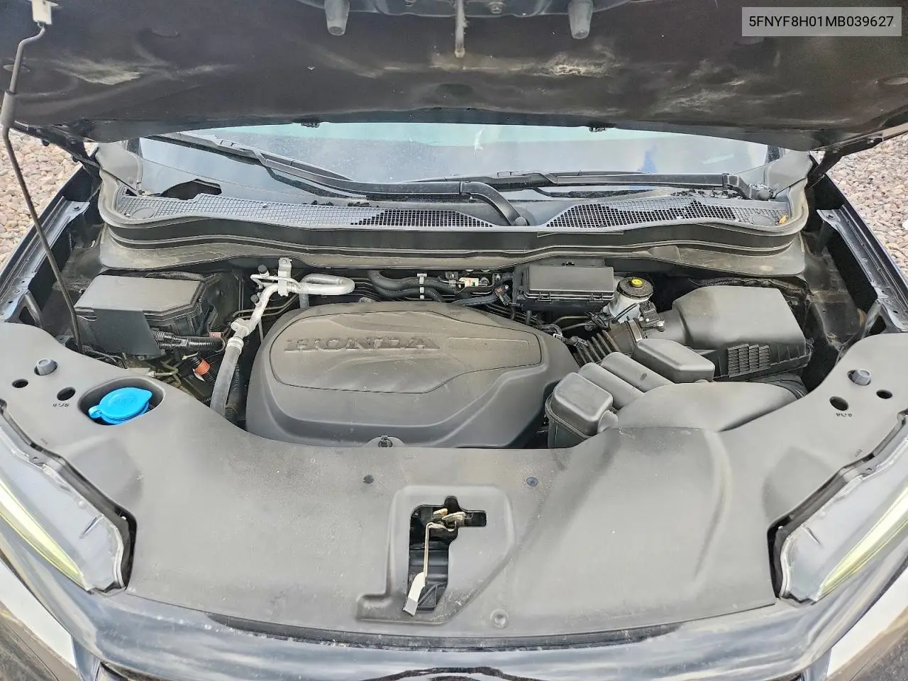 2021 Honda Passport Elite VIN: 5FNYF8H01MB039627 Lot: 53297446