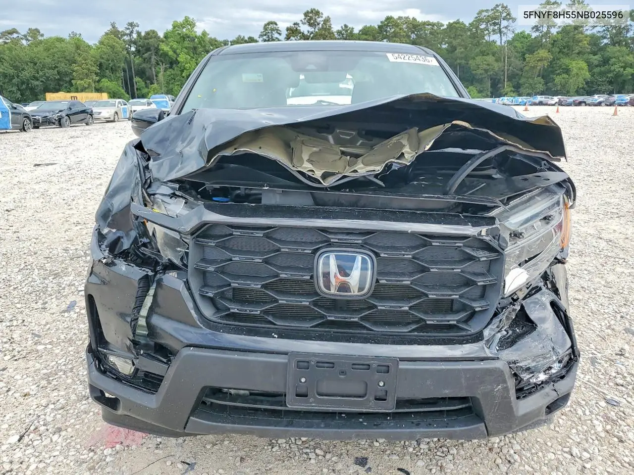 2022 Honda Passport Exl VIN: 5FNYF8H55NB025596 Lot: 54225436