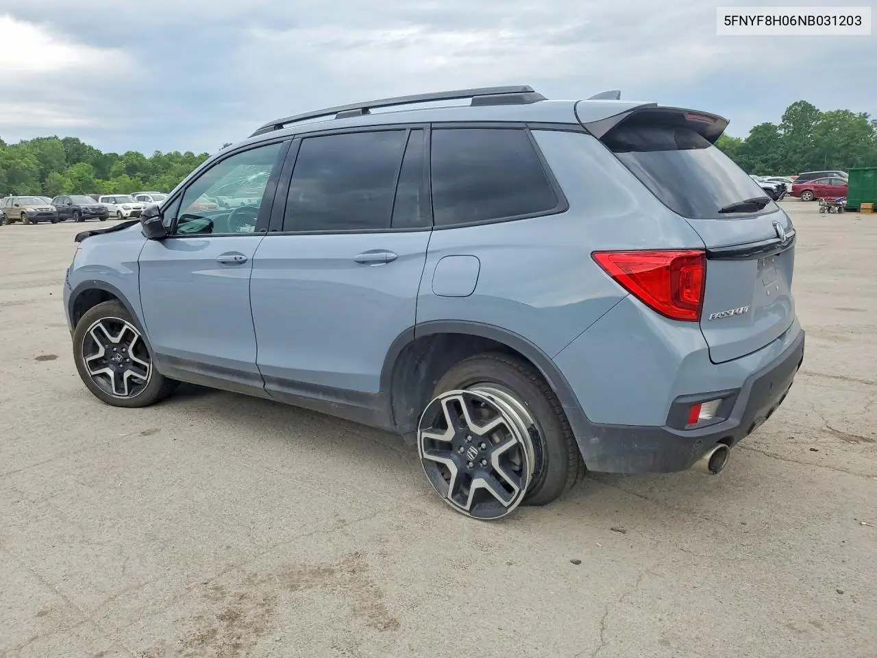 2022 Honda Passport Elite VIN: 5FNYF8H06NB031203 Lot: 56243856