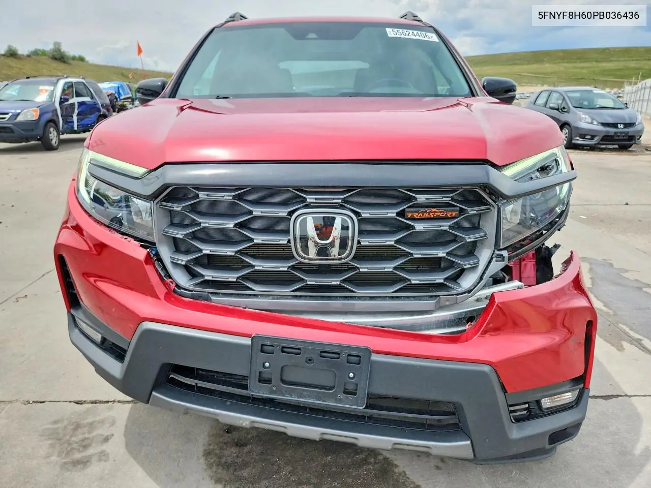 2023 Honda Passport Trail Sport VIN: 5FNYF8H60PB036436 Lot: 55624406