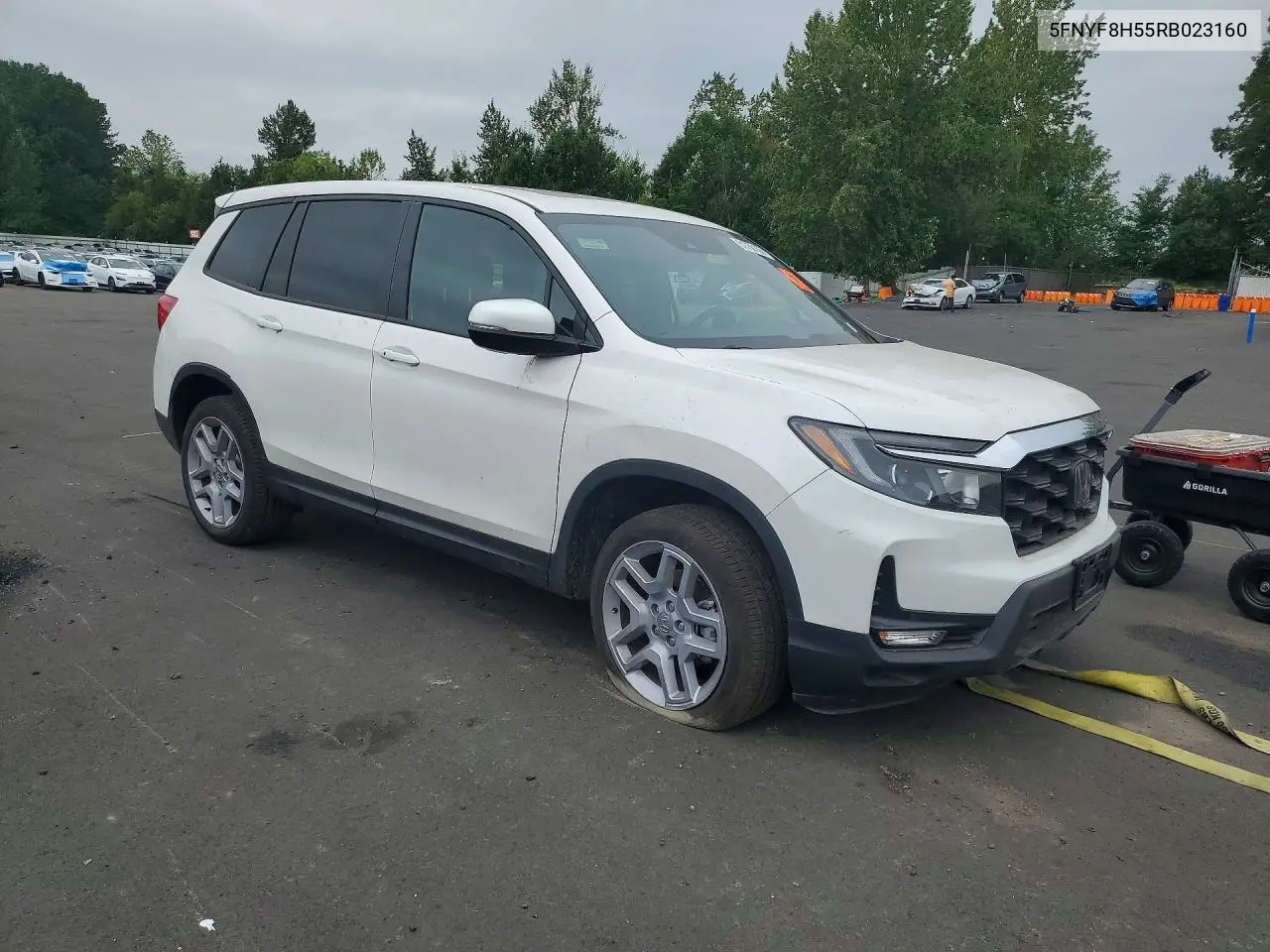 2024 Honda Passport Exl VIN: 5FNYF8H55RB023160 Lot: 61750136