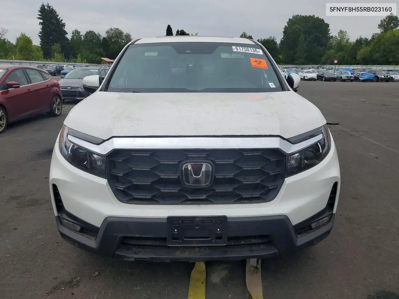 2024 Honda Passport Exl VIN: 5FNYF8H55RB023160 Lot: 61750136