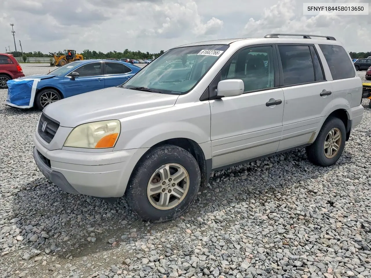 2005 Honda Pilot Ex VIN: 5FNYF18445B013650 Lot: 61662766