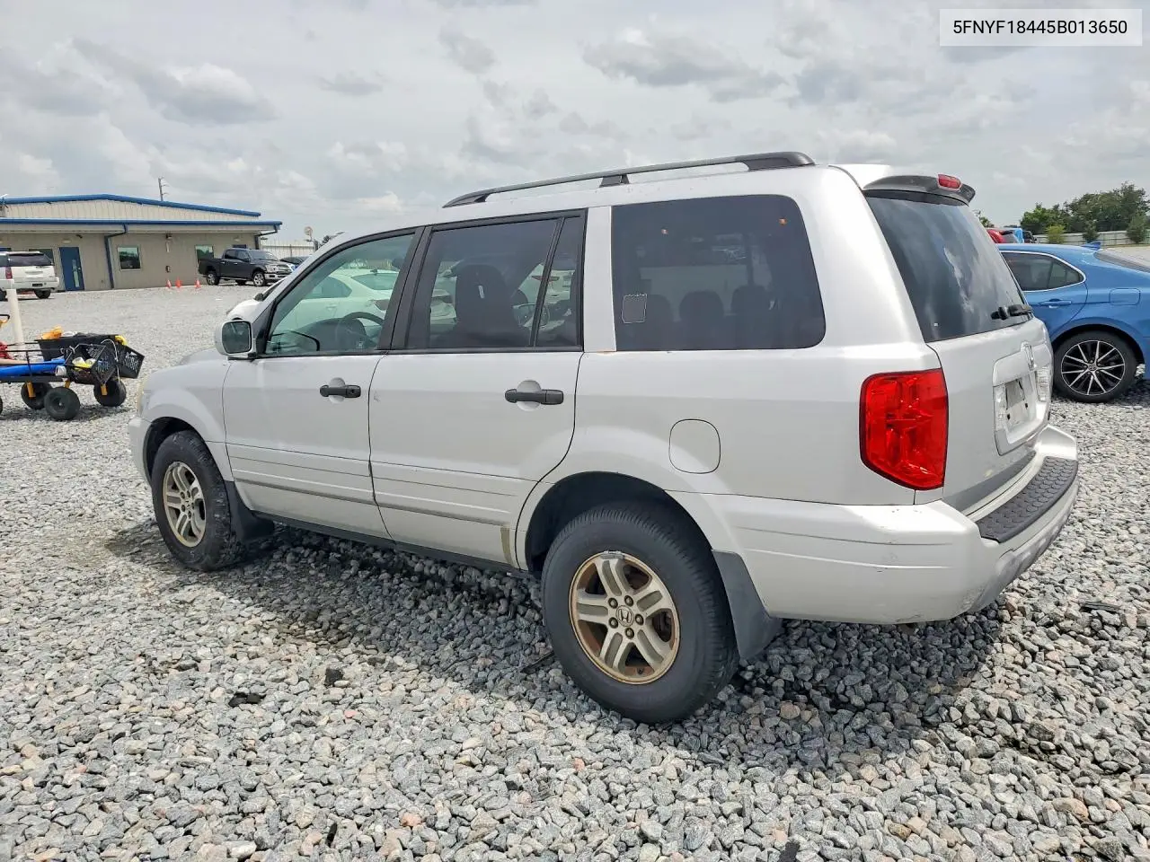 2005 Honda Pilot Ex VIN: 5FNYF18445B013650 Lot: 61662766