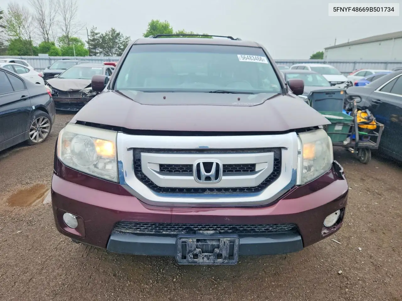 2009 Honda Pilot Exl VIN: 5FNYF48669B501734 Lot: 56483466
