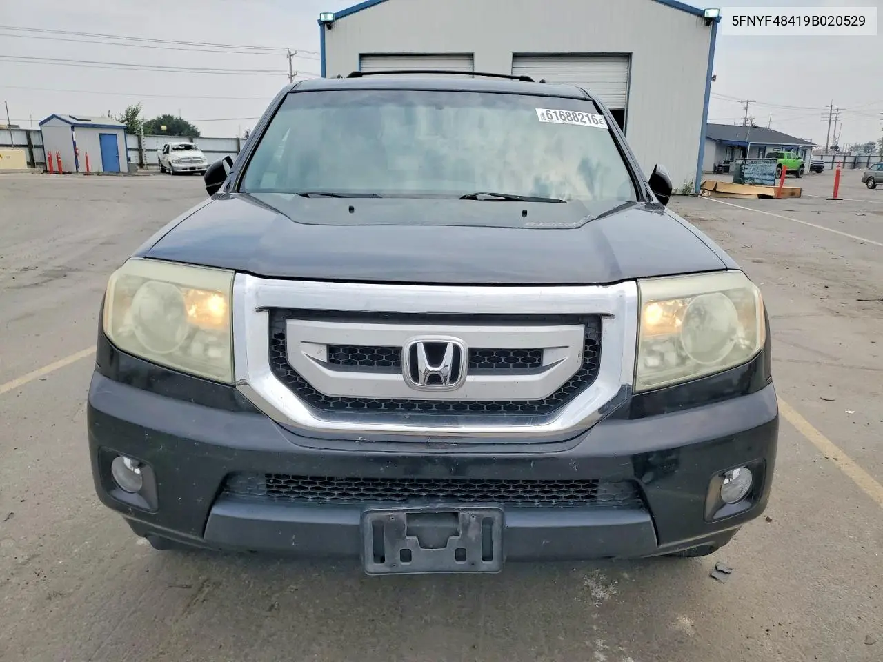 2009 Honda Pilot Ex VIN: 5FNYF48419B020529 Lot: 61688216