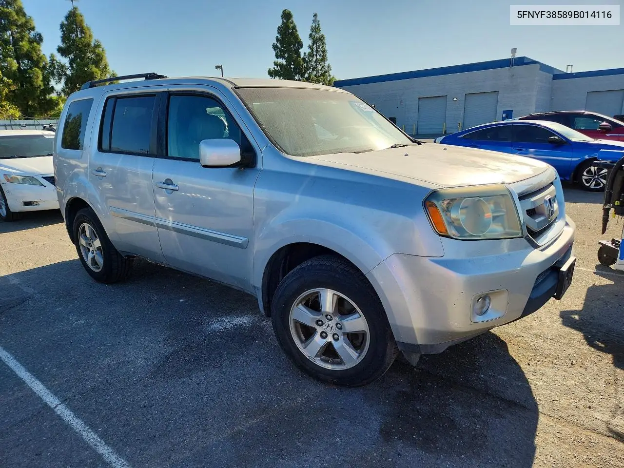 2009 Honda Pilot Exl VIN: 5FNYF38589B014116 Lot: 62257806