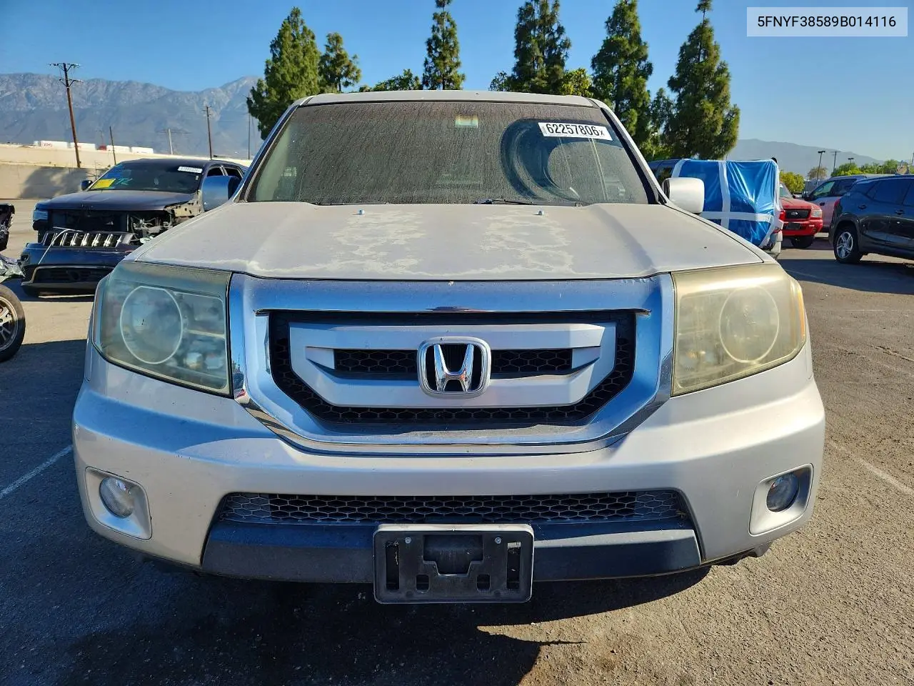 2009 Honda Pilot Exl VIN: 5FNYF38589B014116 Lot: 62257806