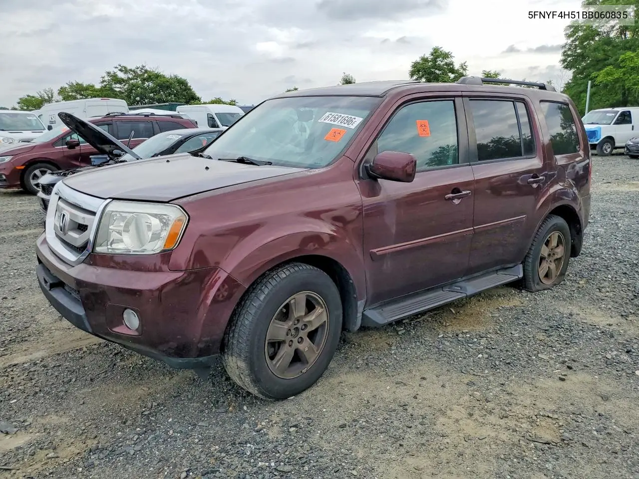 2011 Honda Pilot Exl VIN: 5FNYF4H51BB060835 Lot: 61581696
